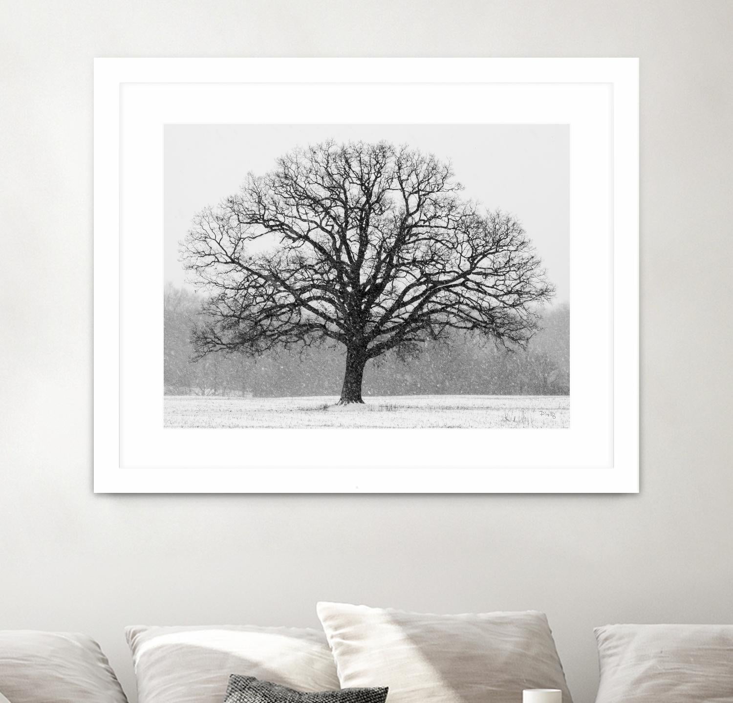 Old Man Winter by Matthew Platz on GIANT ART - multicolor photography; landscapes