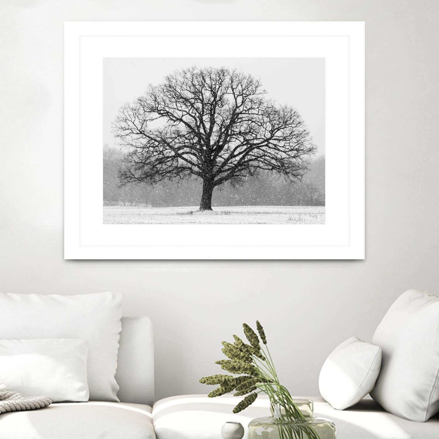 Old Man Winter by Matthew Platz on GIANT ART - multicolor photography; landscapes