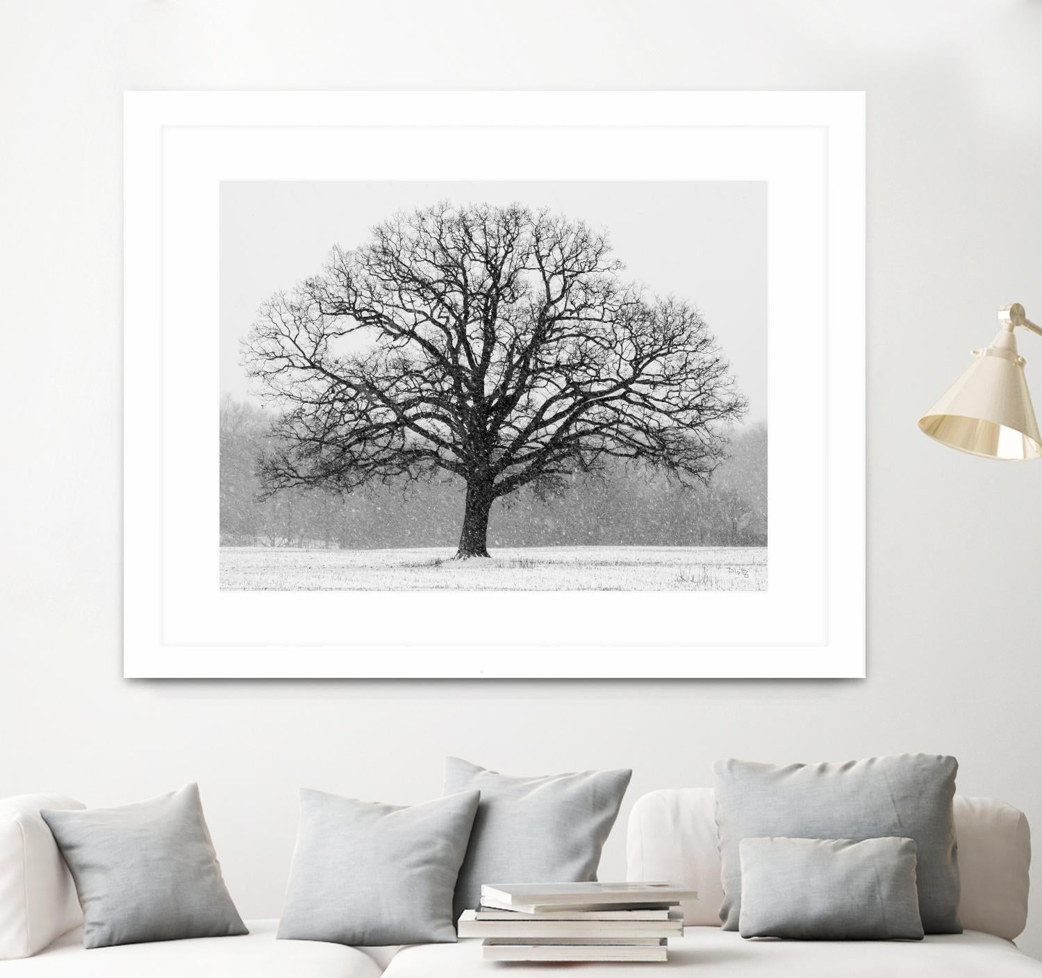 Old Man Winter by Matthew Platz on GIANT ART - multicolor photography; landscapes