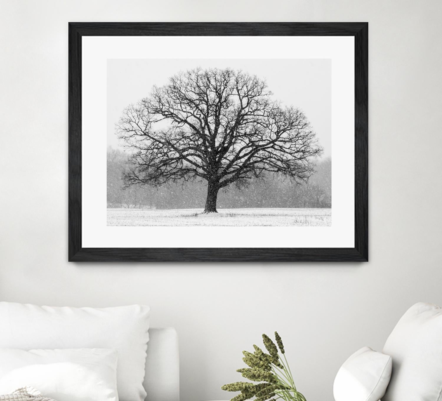 Old Man Winter by Matthew Platz on GIANT ART - multicolor photography; landscapes