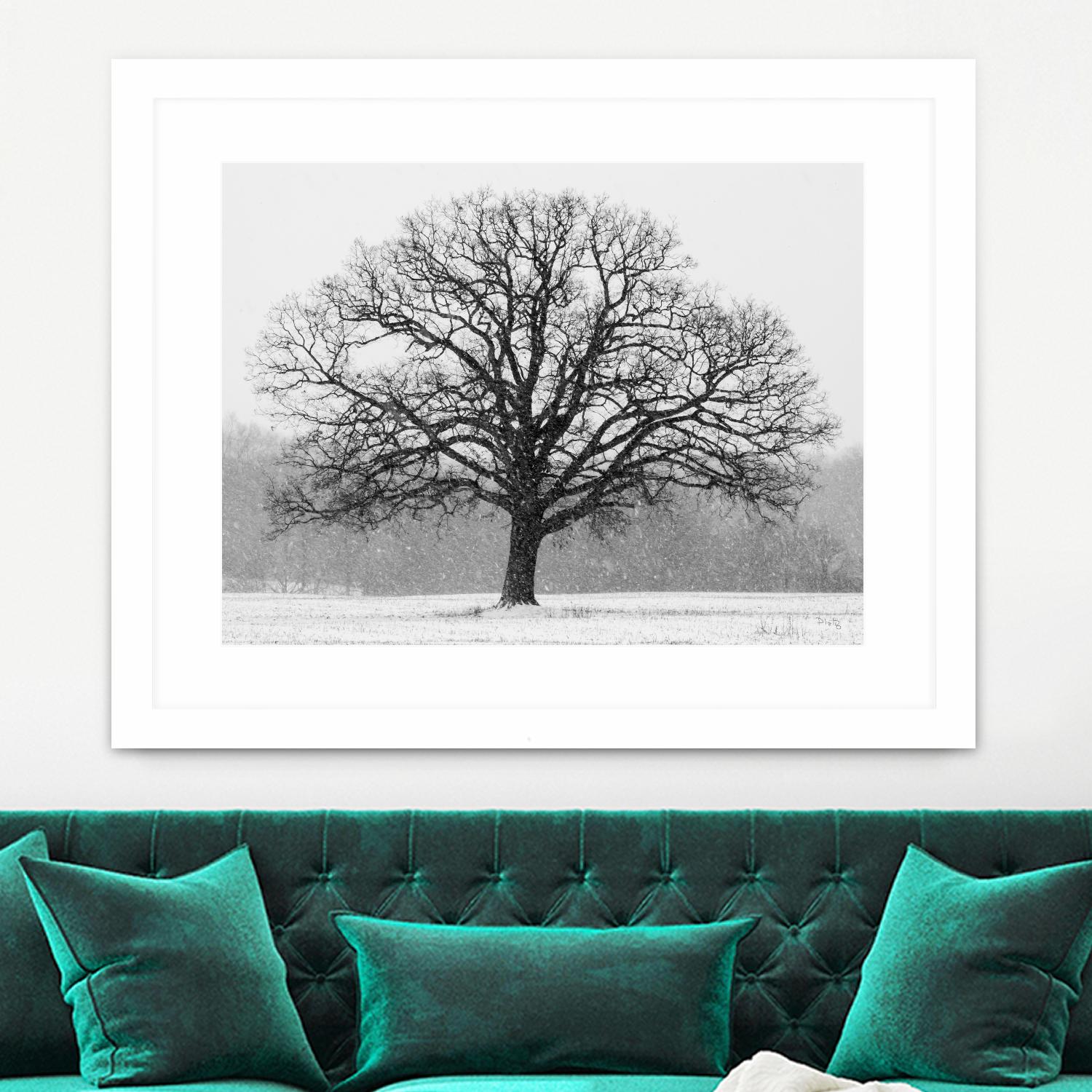 Old Man Winter by Matthew Platz on GIANT ART - multicolor photography; landscapes