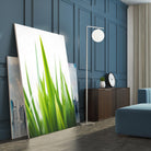 Blades of Green No. 1 by Sonja Quintero on GIANT ART - multi floral/still life, photography