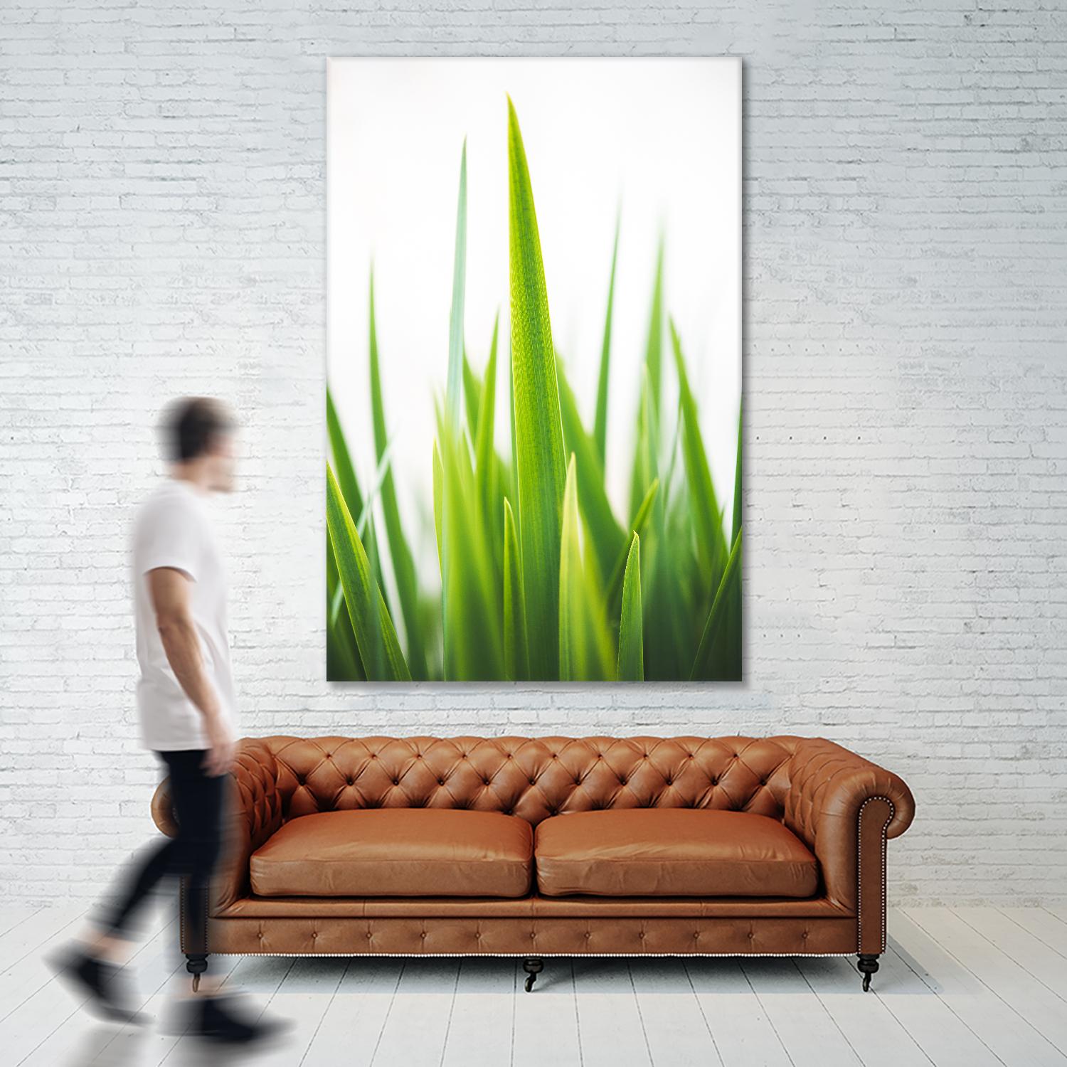 Blades of Green No. 1 by Sonja Quintero on GIANT ART - multi floral/still life, photography