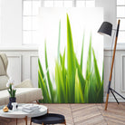 Blades of Green No. 1 by Sonja Quintero on GIANT ART - multi floral/still life, photography