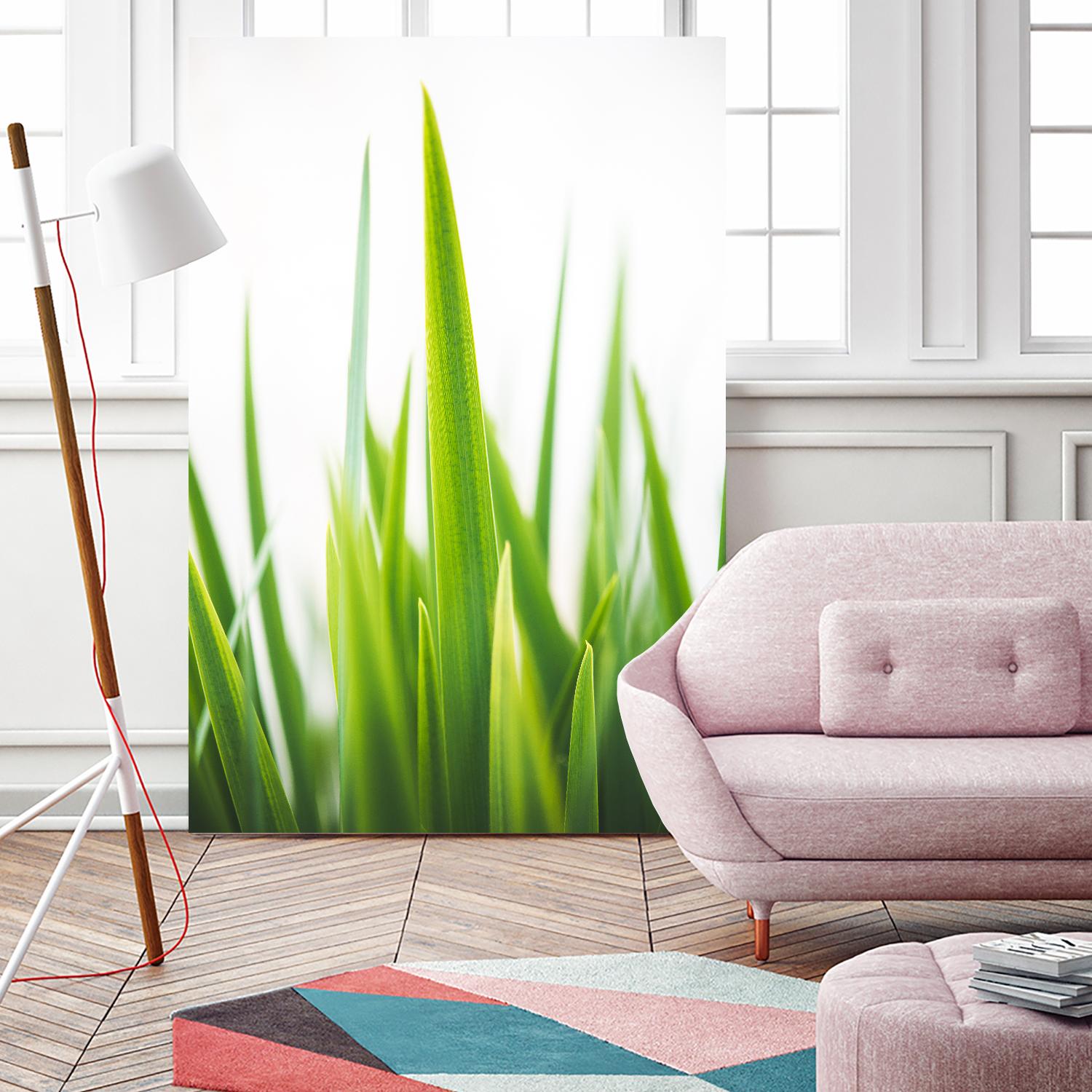 Blades of Green No. 1 by Sonja Quintero on GIANT ART - multi floral/still life, photography