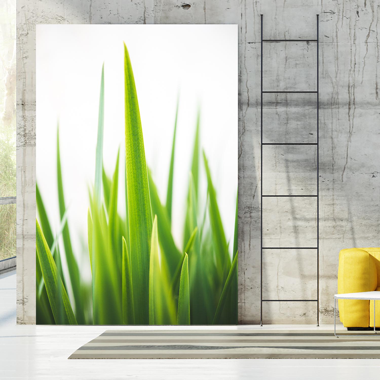 Blades of Green No. 1 by Sonja Quintero on GIANT ART - multi floral/still life, photography