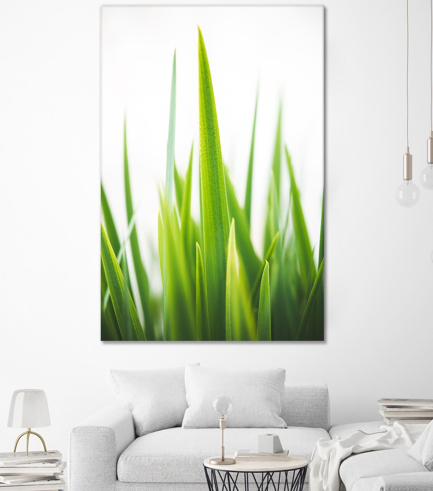 Blades of Green No. 1 by Sonja Quintero on GIANT ART - multi floral/still life, photography