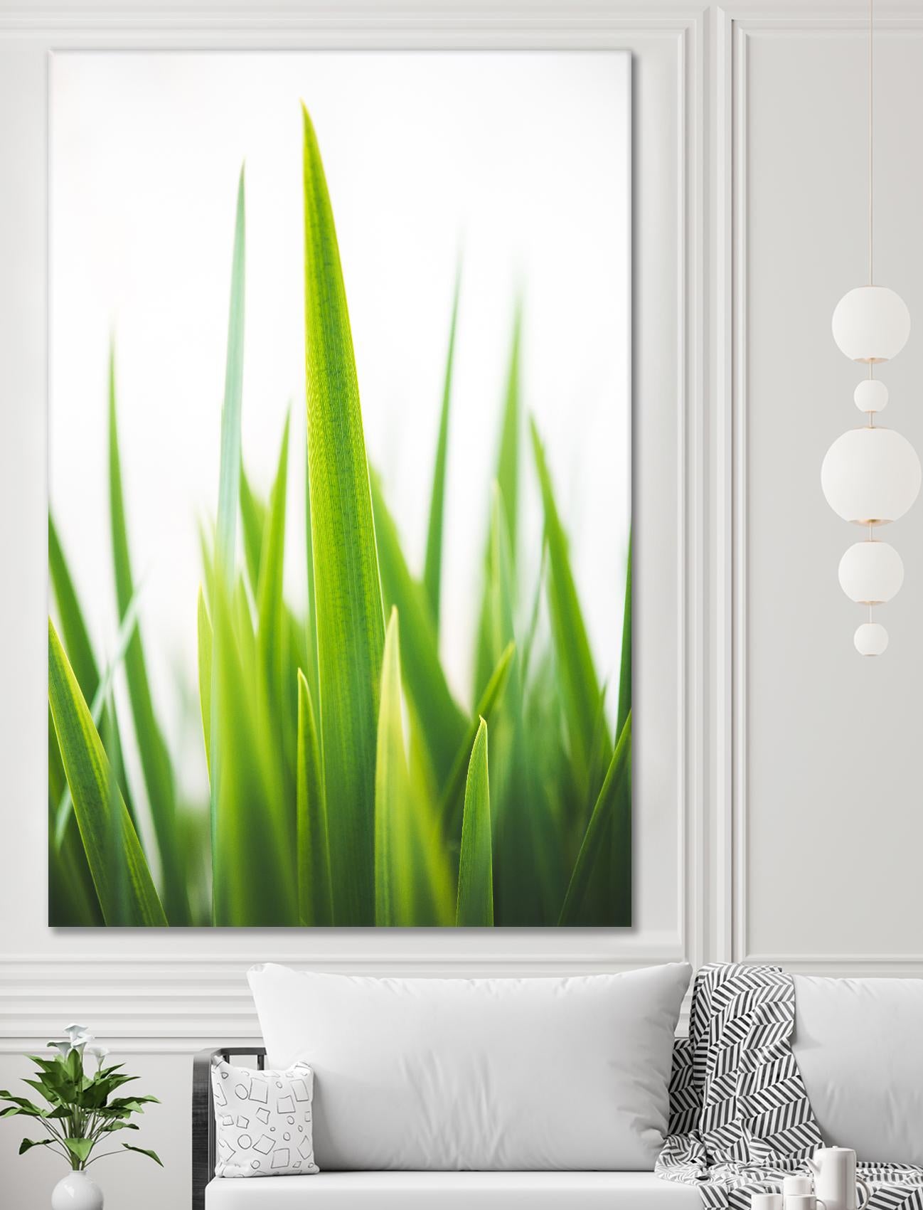 Blades of Green No. 1 by Sonja Quintero on GIANT ART - multi floral/still life, photography