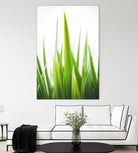 Blades of Green No. 1 by Sonja Quintero on GIANT ART - multi floral/still life, photography