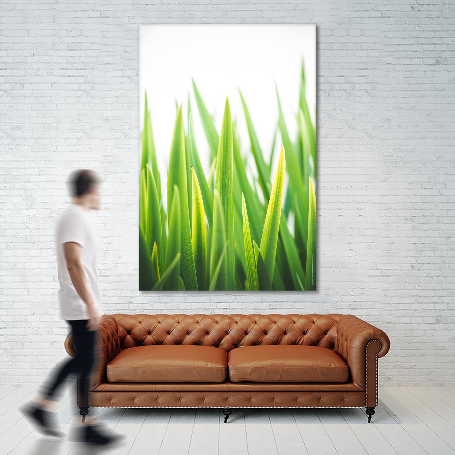 Blades of Green No. 2 by Sonja Quintero on GIANT ART - green floral/still life, photography