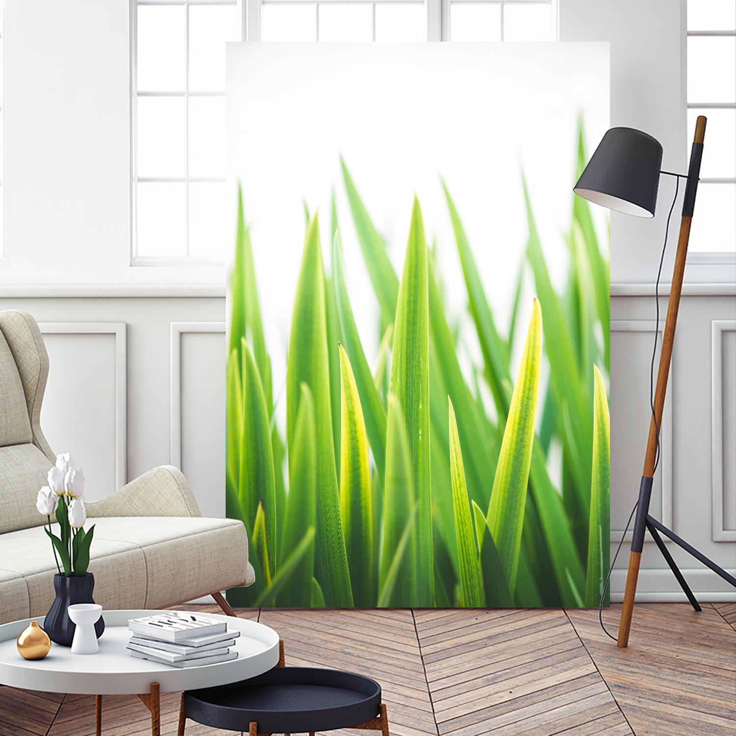 Blades of Green No. 2 by Sonja Quintero on GIANT ART - green floral/still life, photography