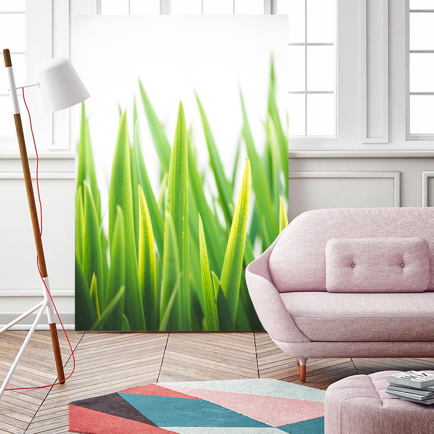 Blades of Green No. 2 by Sonja Quintero on GIANT ART - green floral/still life, photography