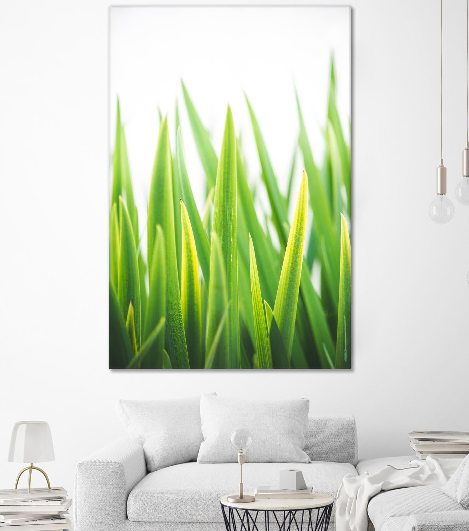 Blades of Green No. 2 by Sonja Quintero on GIANT ART - green floral/still life, photography