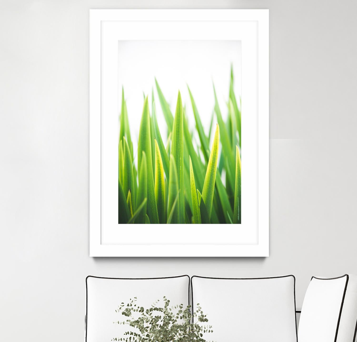 Blades of Green No. 2 by Sonja Quintero on GIANT ART - green floral/still life, photography