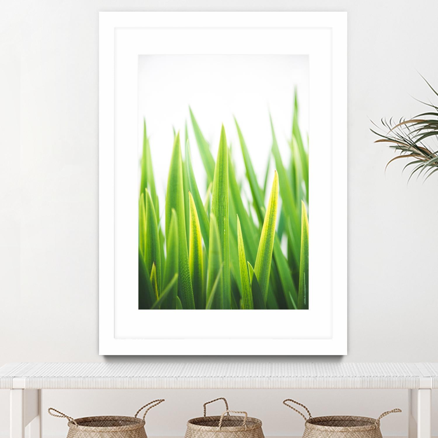 Blades of Green No. 2 by Sonja Quintero on GIANT ART - green floral/still life, photography