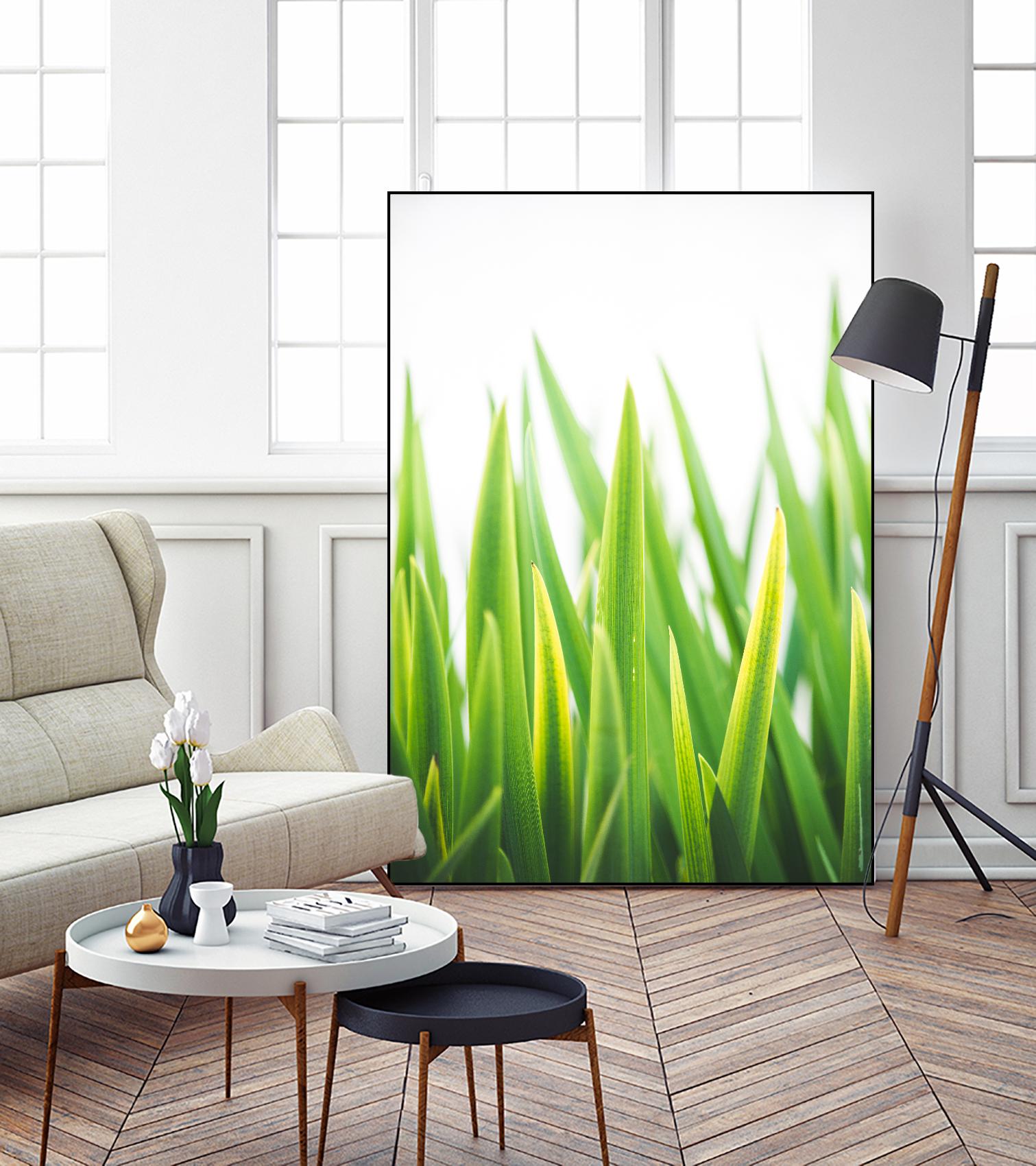 Blades of Green No. 2 by Sonja Quintero on GIANT ART - green floral/still life, photography