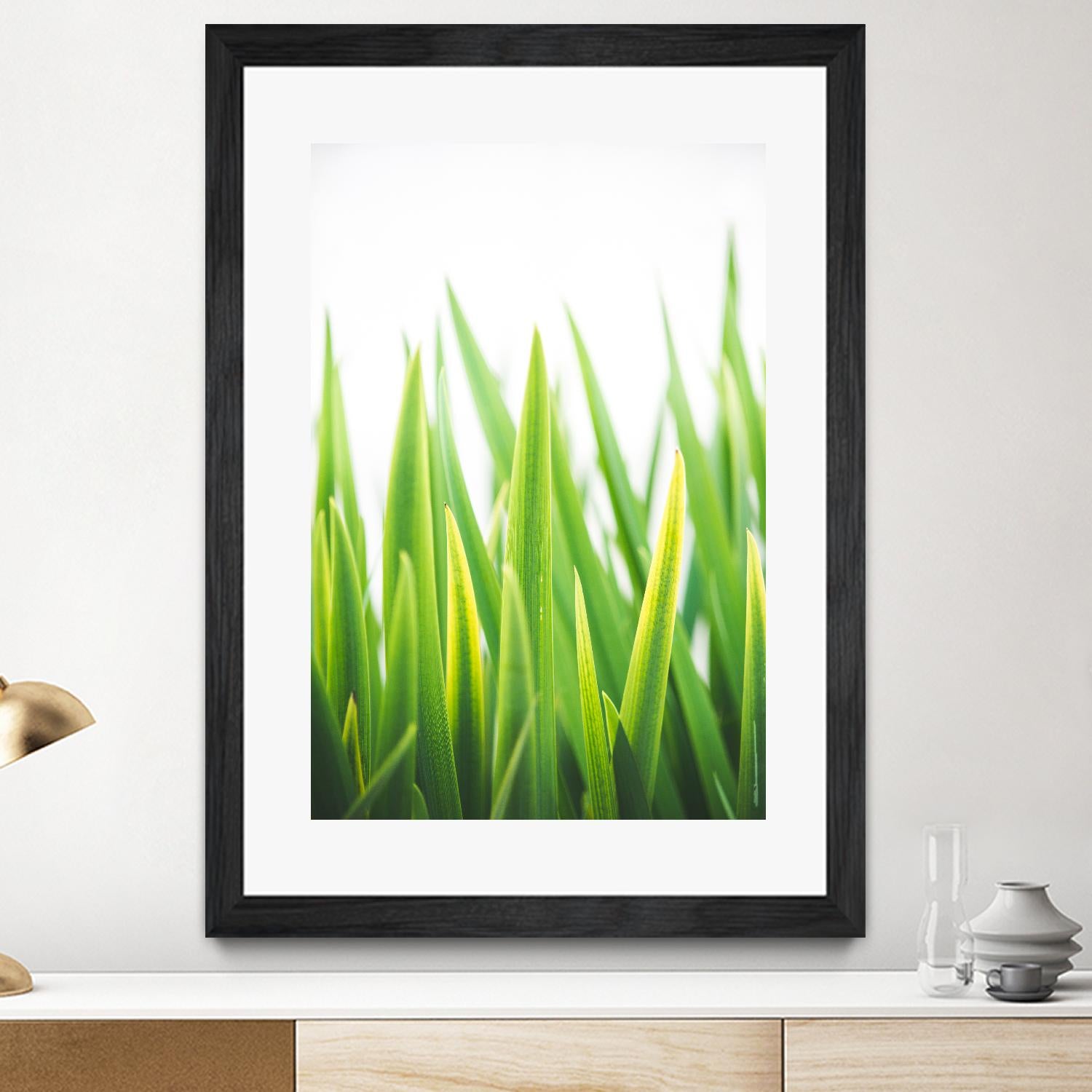 Blades of Green No. 2 by Sonja Quintero on GIANT ART - green floral/still life, photography