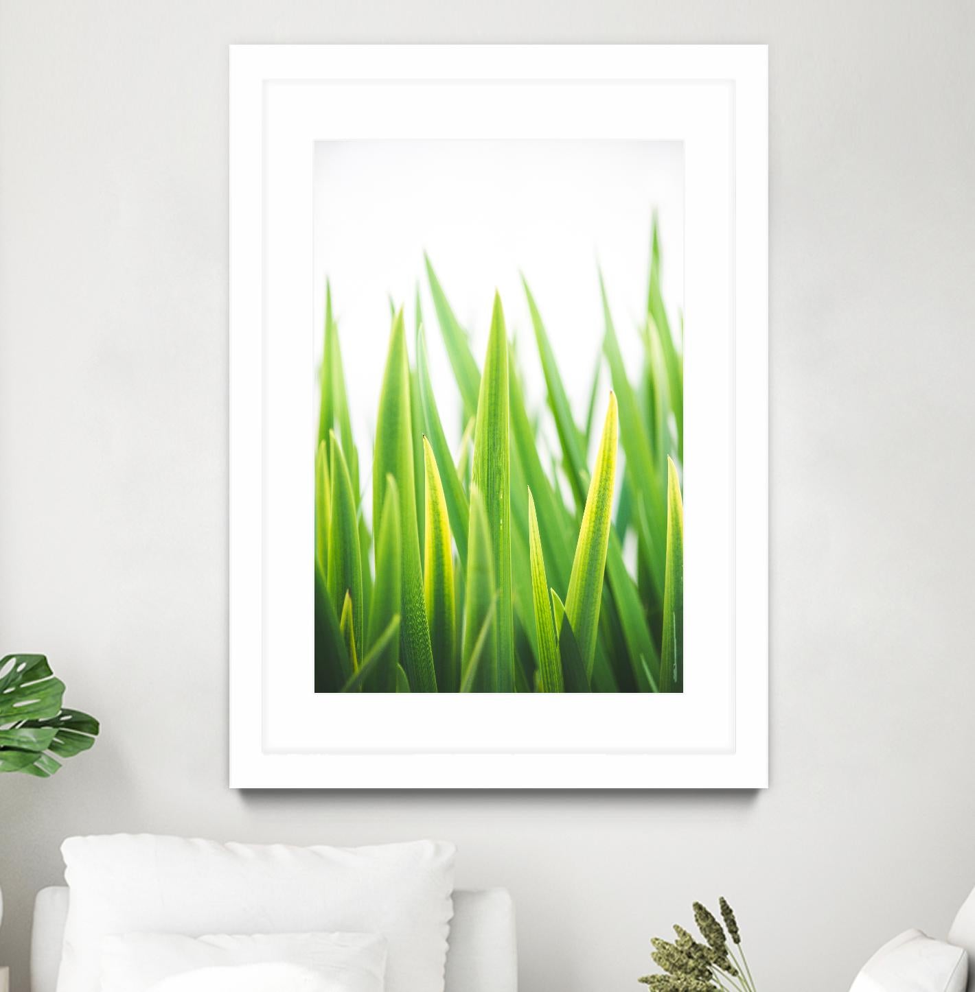 Blades of Green No. 2 by Sonja Quintero on GIANT ART - green floral/still life, photography