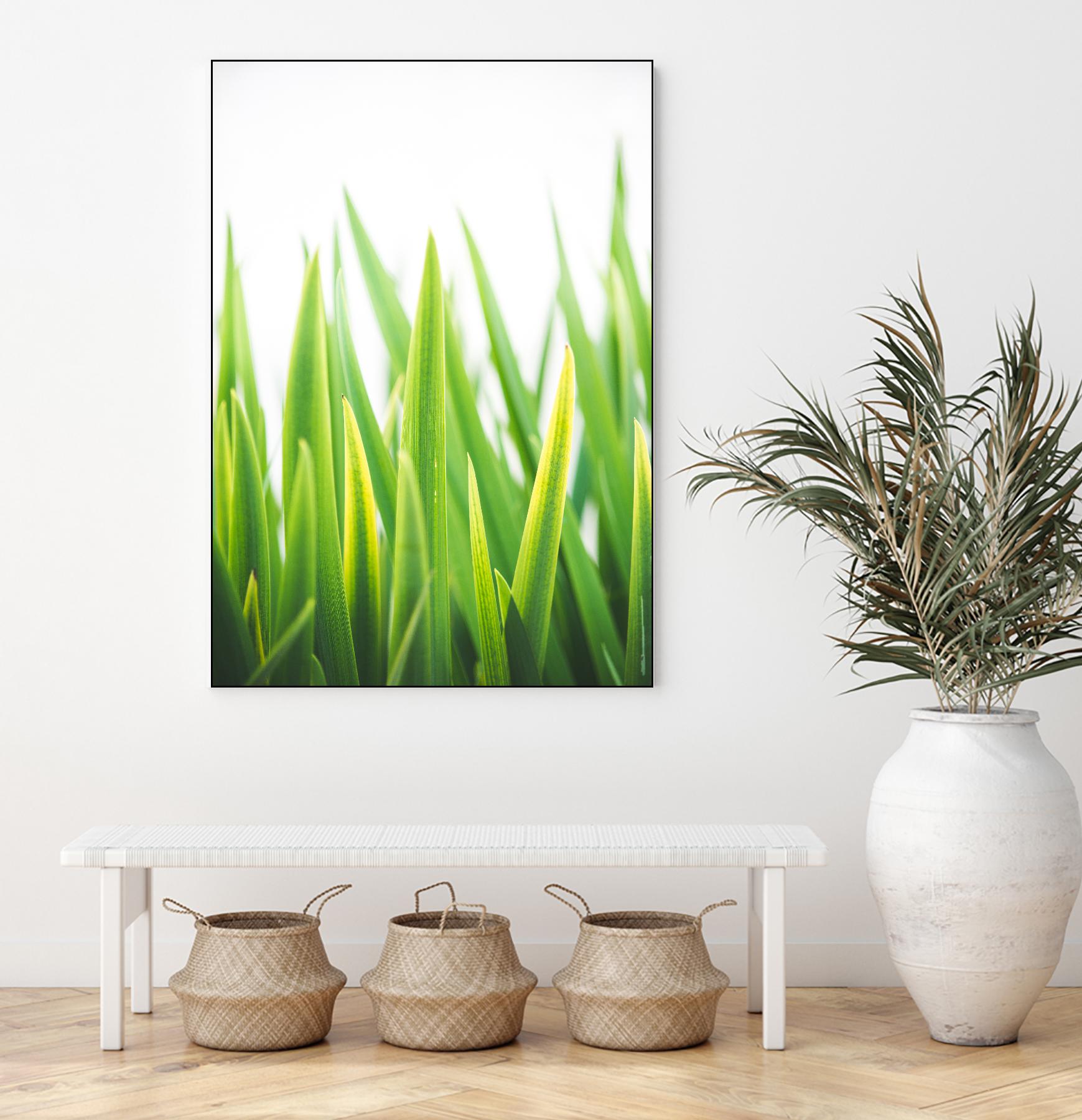 Blades of Green No. 2 by Sonja Quintero on GIANT ART - green floral/still life, photography