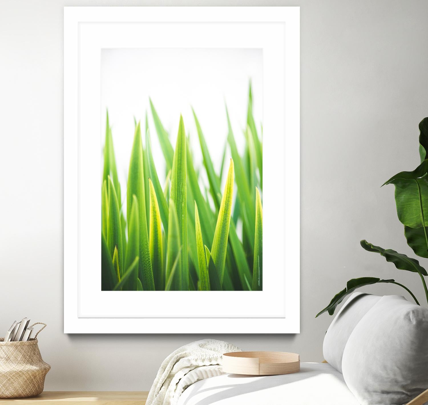 Blades of Green No. 2 by Sonja Quintero on GIANT ART - green floral/still life, photography