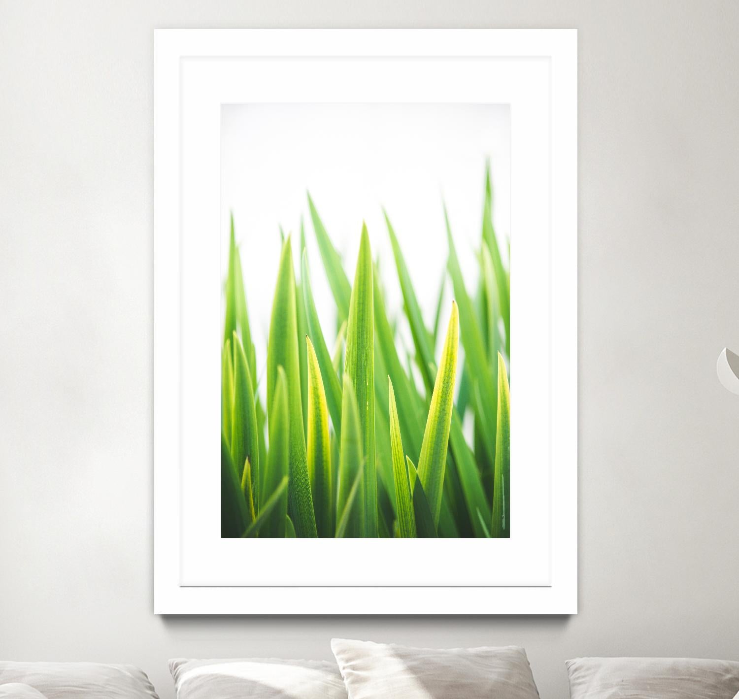 Blades of Green No. 2 by Sonja Quintero on GIANT ART - green floral/still life, photography