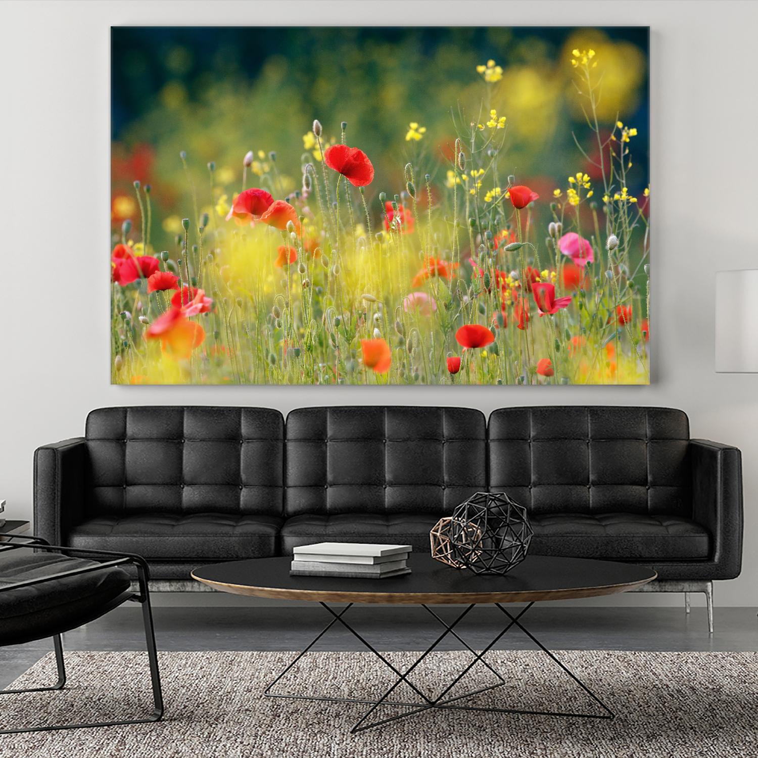 Just a Perfect Day by Roeselien Raimond on GIANT ART - multicolor photography; floral/still life; landscapes