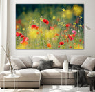 Just a Perfect Day by Roeselien Raimond on GIANT ART - multicolor photography; floral/still life; landscapes