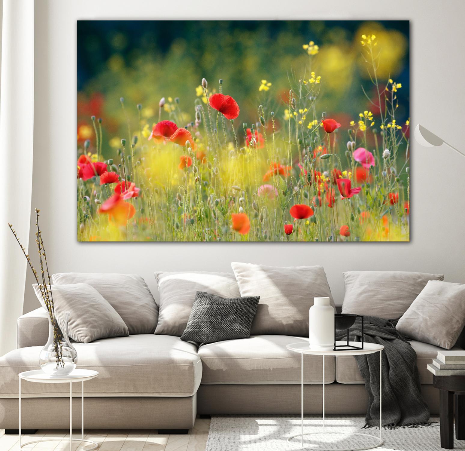 Just a Perfect Day by Roeselien Raimond on GIANT ART - multicolor photography; floral/still life; landscapes