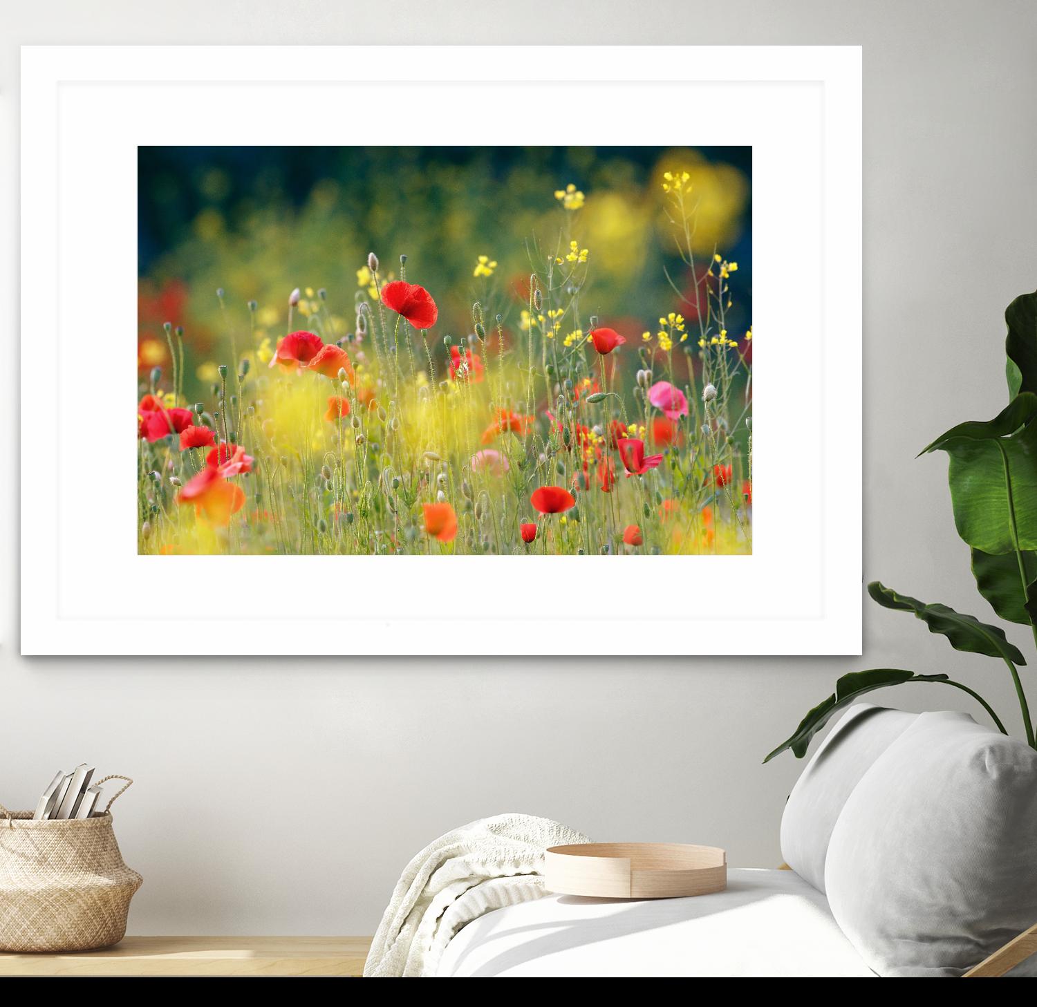 Just a Perfect Day by Roeselien Raimond on GIANT ART - multicolor photography; floral/still life; landscapes