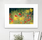 Just a Perfect Day by Roeselien Raimond on GIANT ART - multicolor photography; floral/still life; landscapes