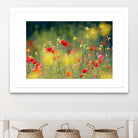 Just a Perfect Day by Roeselien Raimond on GIANT ART - multicolor photography; floral/still life; landscapes