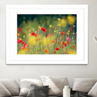 Just a Perfect Day by Roeselien Raimond on GIANT ART - multicolor photography; floral/still life; landscapes