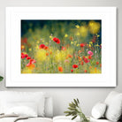 Just a Perfect Day by Roeselien Raimond on GIANT ART - multicolor photography; floral/still life; landscapes