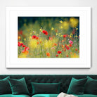 Just a Perfect Day by Roeselien Raimond on GIANT ART - multicolor photography; floral/still life; landscapes