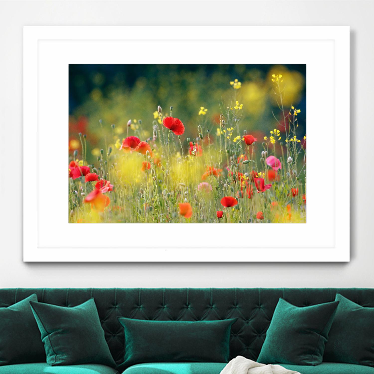 Just a Perfect Day by Roeselien Raimond on GIANT ART - multicolor photography; floral/still life; landscapes