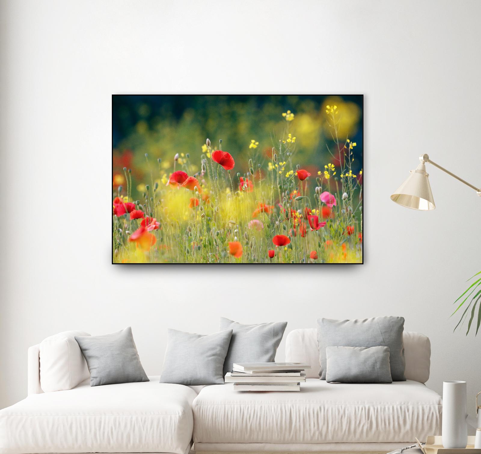 Just a Perfect Day by Roeselien Raimond on GIANT ART - multicolor photography; floral/still life; landscapes