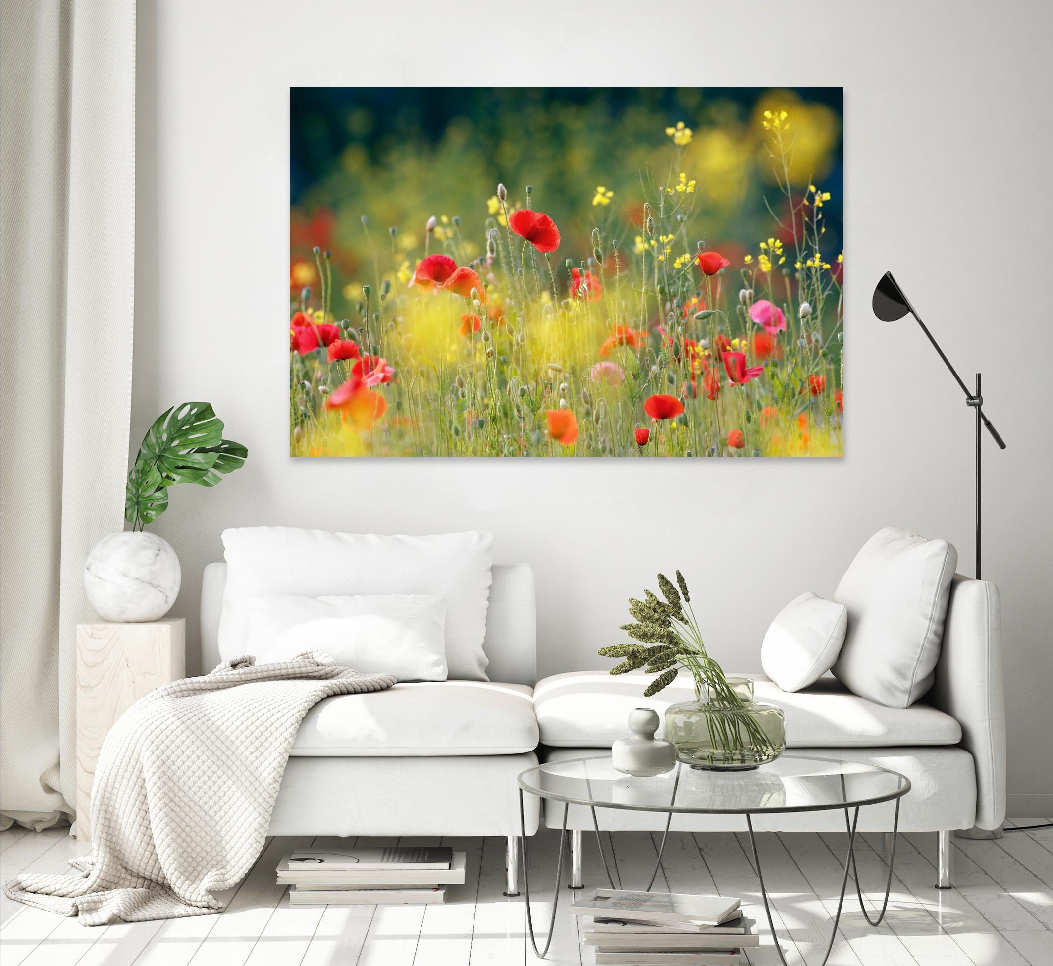 Just a Perfect Day by Roeselien Raimond on GIANT ART - multicolor photography; floral/still life; landscapes