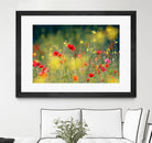 Just a Perfect Day by Roeselien Raimond on GIANT ART - multicolor photography; floral/still life; landscapes