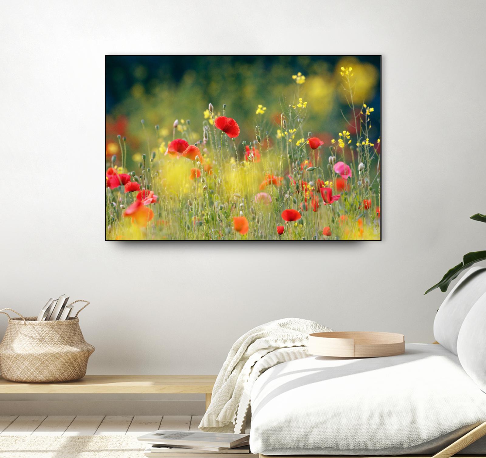 Just a Perfect Day by Roeselien Raimond on GIANT ART - multicolor photography; floral/still life; landscapes