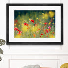 Just a Perfect Day by Roeselien Raimond on GIANT ART - multicolor photography; floral/still life; landscapes