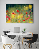 Just a Perfect Day by Roeselien Raimond on GIANT ART - multicolor photography; floral/still life; landscapes