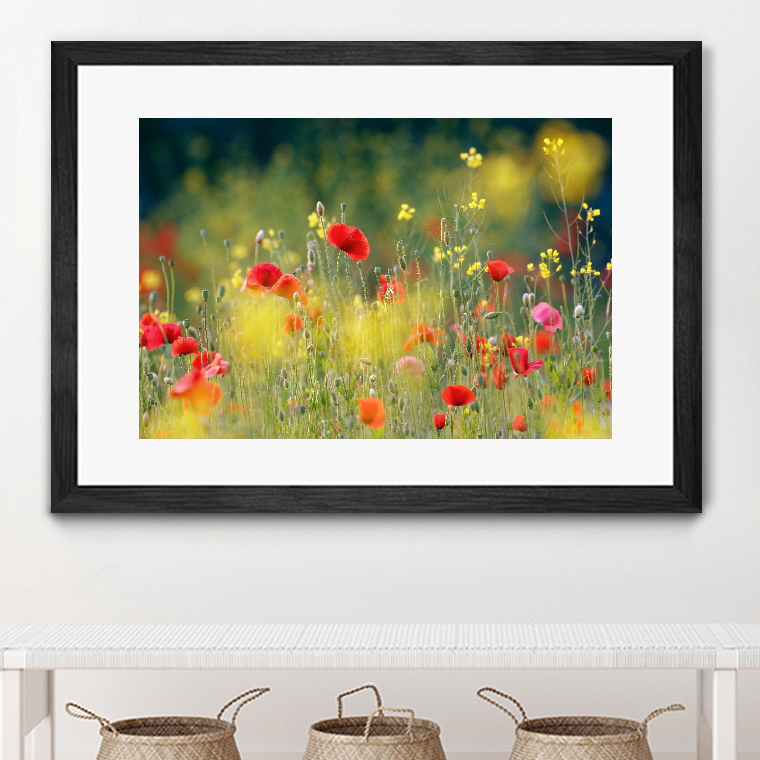 Just a Perfect Day by Roeselien Raimond on GIANT ART - multicolor photography; floral/still life; landscapes