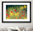 Just a Perfect Day by Roeselien Raimond on GIANT ART - multicolor photography; floral/still life; landscapes