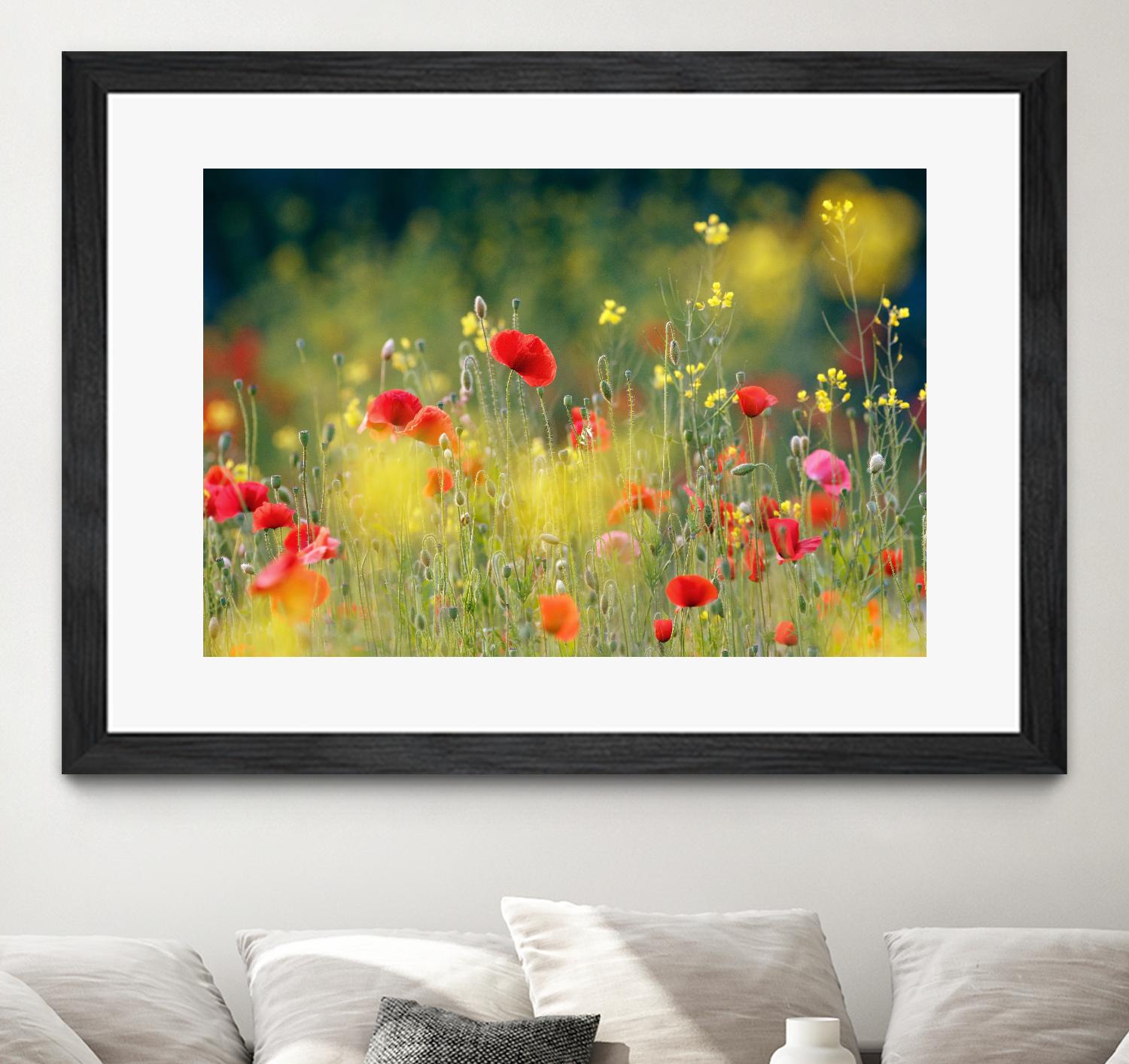 Just a Perfect Day by Roeselien Raimond on GIANT ART - multicolor photography; floral/still life; landscapes