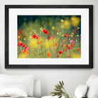 Just a Perfect Day by Roeselien Raimond on GIANT ART - multicolor photography; floral/still life; landscapes