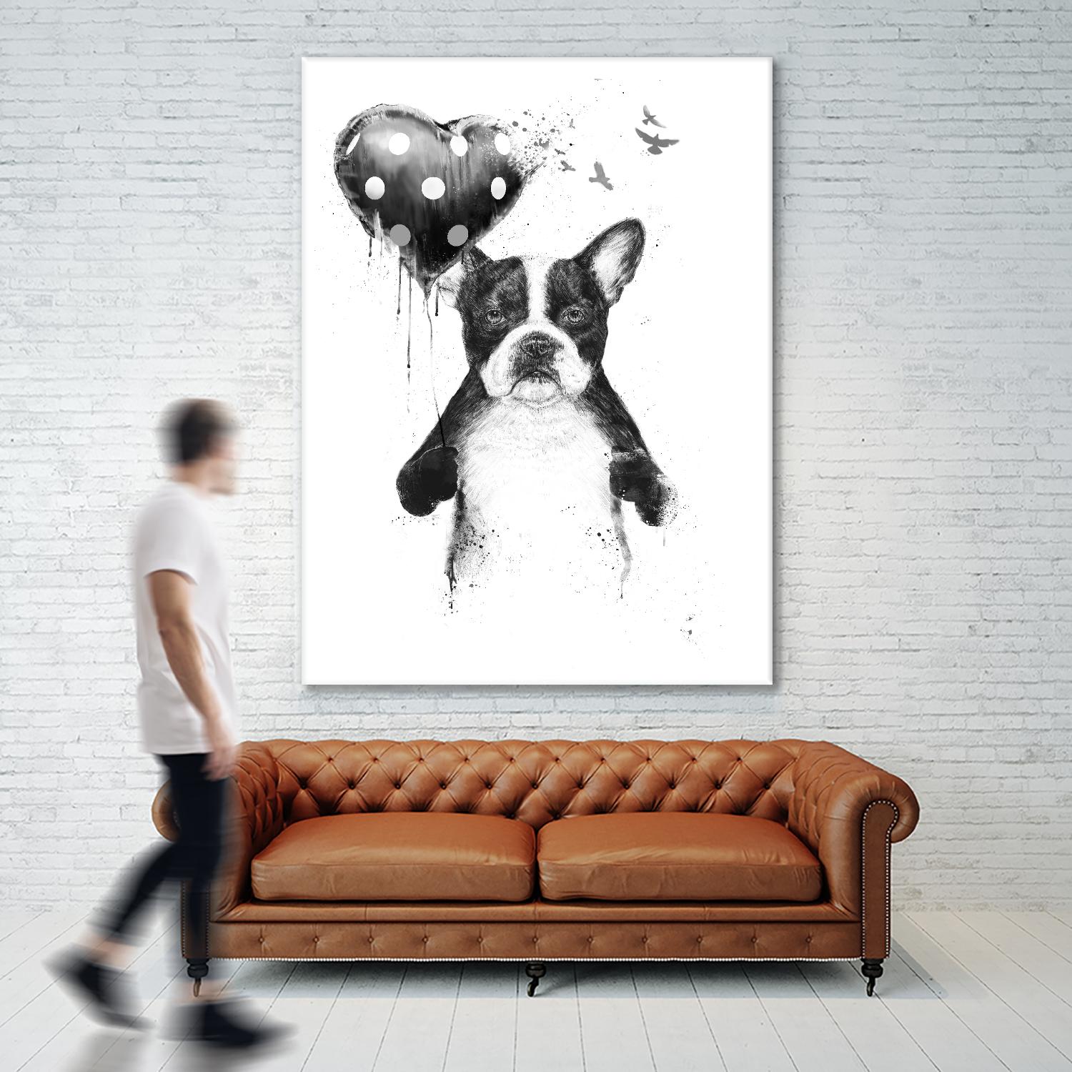 My Heart Goes Boom by Balazs Solti on GIANT ART - white animals