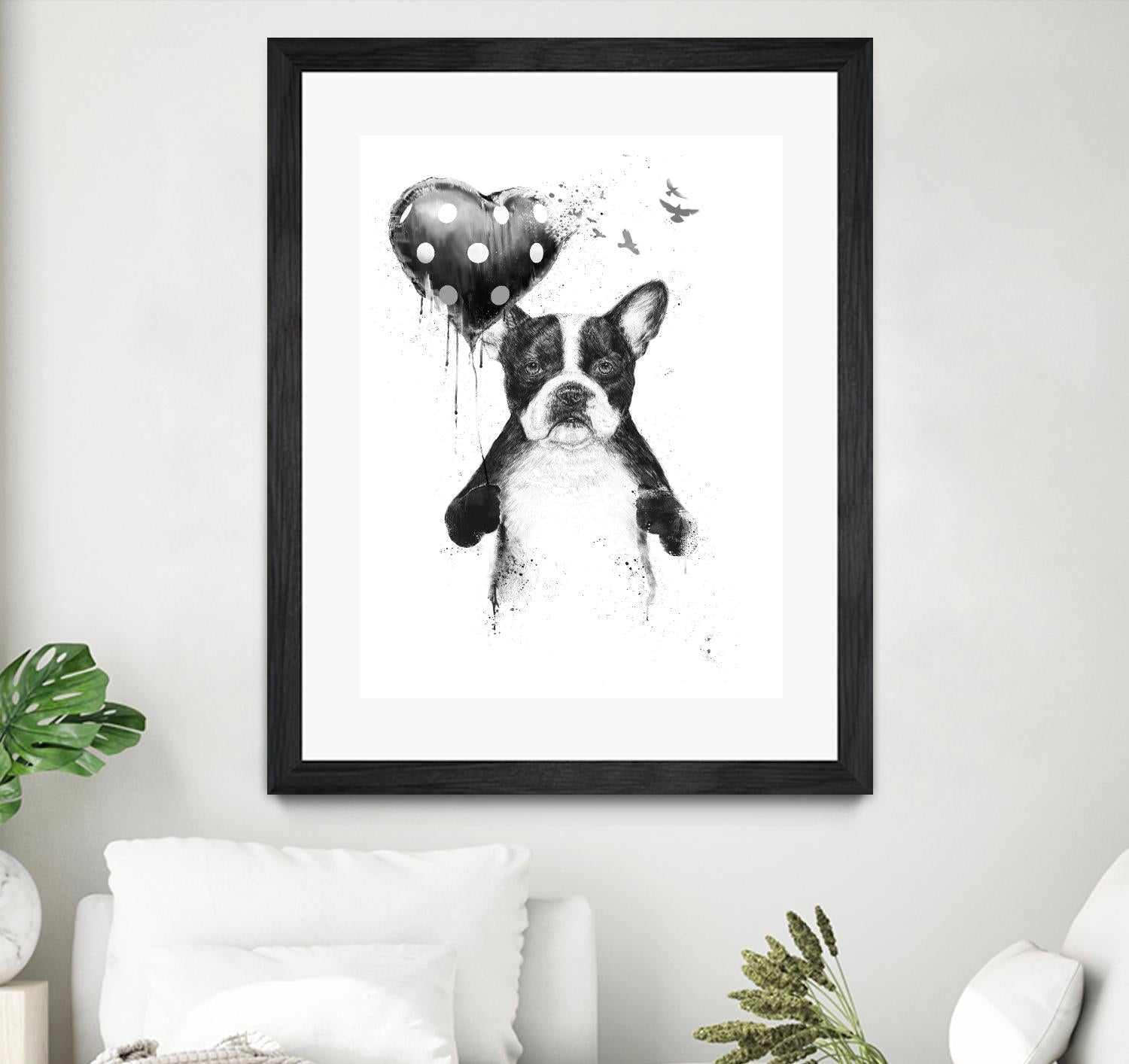 My Heart Goes Boom by Balazs Solti on GIANT ART - white animals