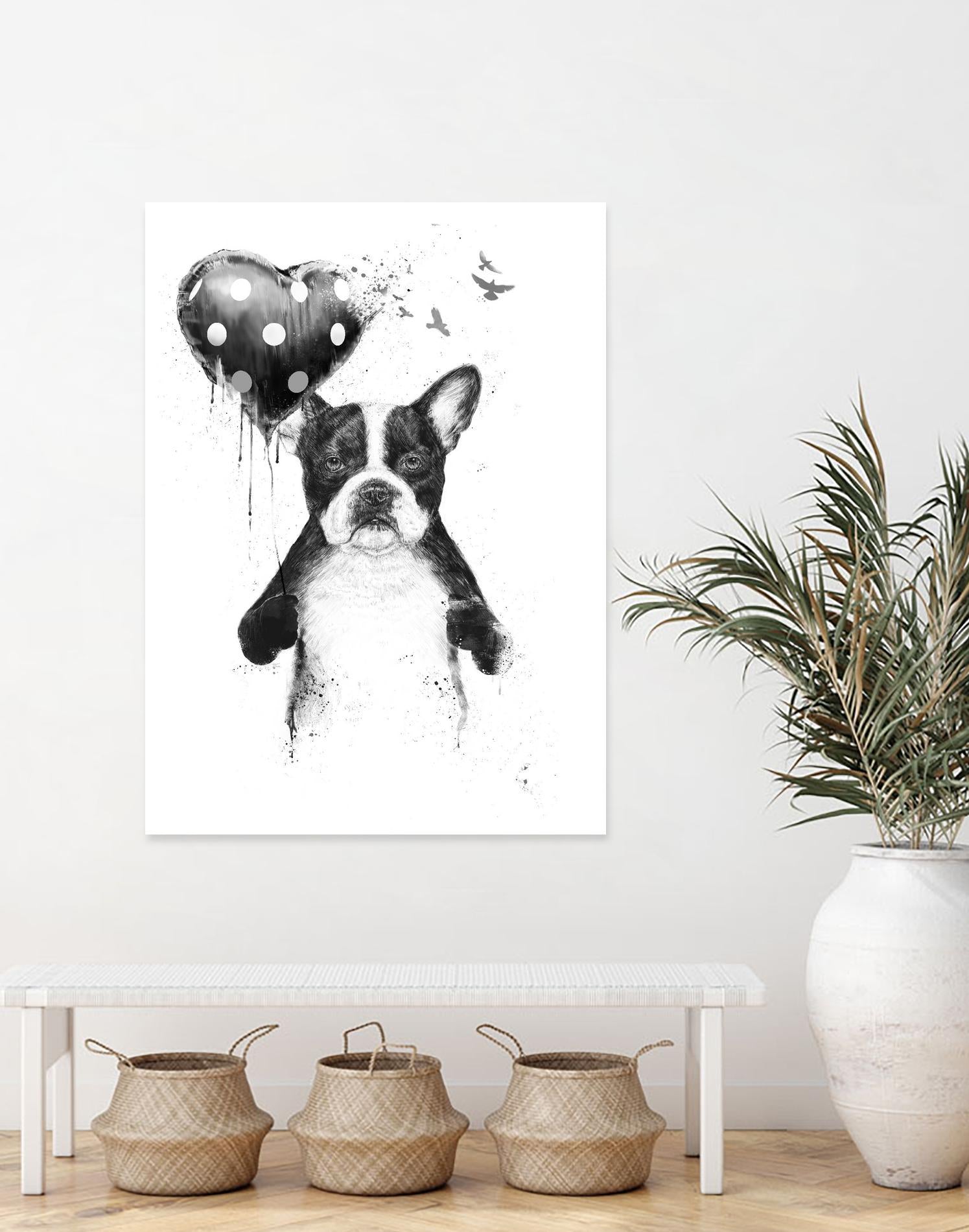 My Heart Goes Boom by Balazs Solti on GIANT ART - white animals