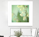 Lily of the Valley by Judy Stalus on GIANT ART - multicolor photography; floral/still life