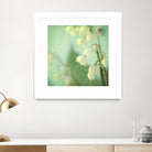 Lily of the Valley by Judy Stalus on GIANT ART - multicolor photography; floral/still life